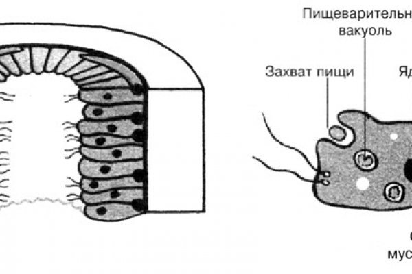 Кракен ссылка trikky