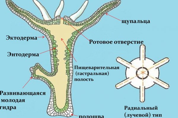 Поддержка кракен шоп