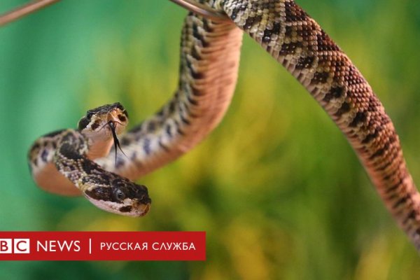 Сайты продаж наркотиков