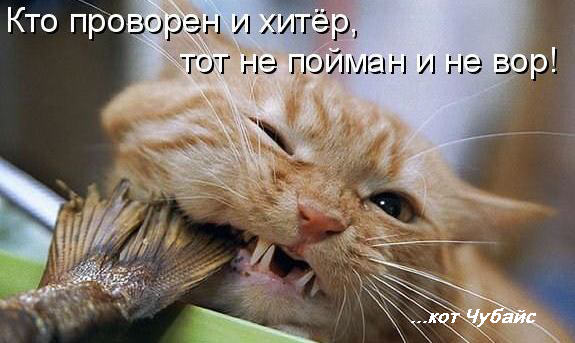 Kraken даркнет рынок