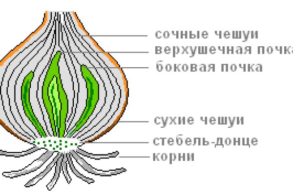 Кракен переходник ссылка