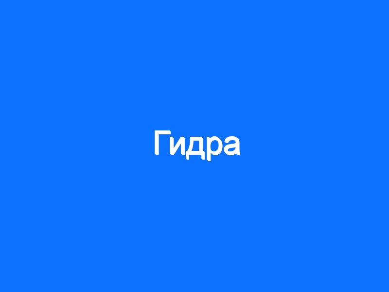 Kraken зеркала kr2web in