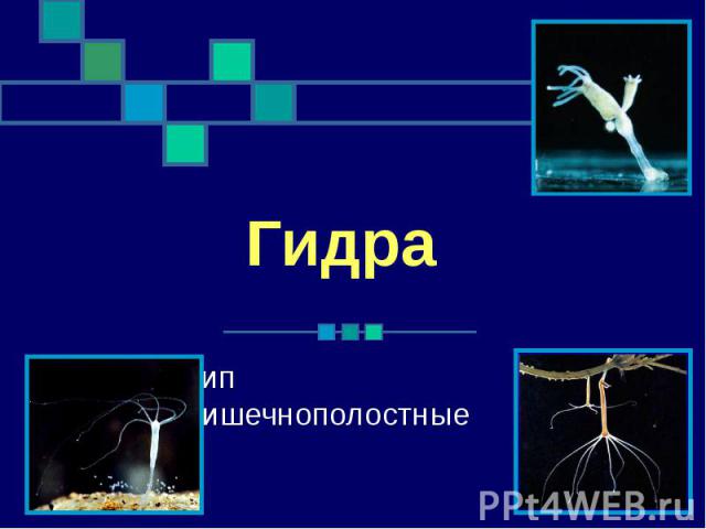 Кракен сайт kraken dark link